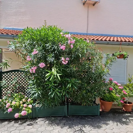 Apartment Zoretic