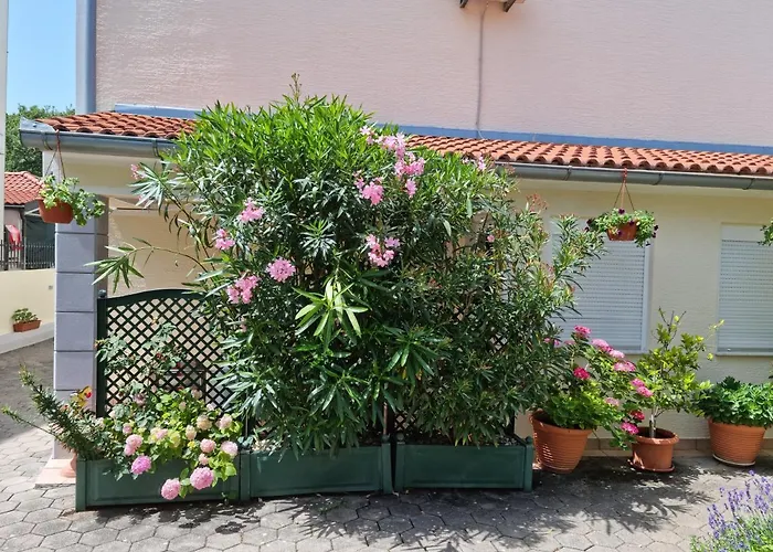 Appartamento Zoretic